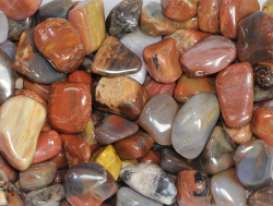 Petrified Wood Tumbled Stones B-Quality