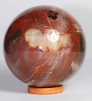 Petrified Wood Ball (Sphere) No. 24