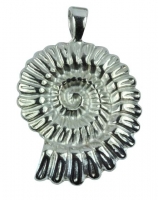 Metal Pendant Ammonite SALE !!