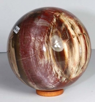 Petrified Wood Ball (Sphere) No. 25