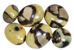 Septaria Pebbles