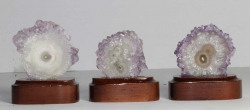 Set Amethyst Roses on wooden base No. 32