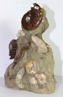 Ammonite Sculpture No. 45