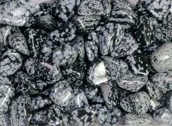 Snowflake Obsidian Tumbled Stones Mexico