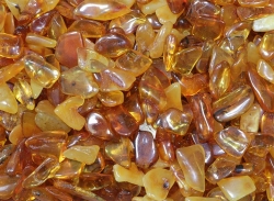 Amber Tumbled Stones Baltic States